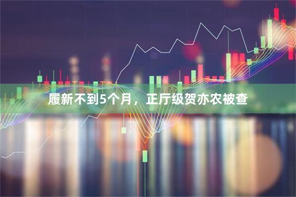 履新不到5个月,正厅级贺亦农被查