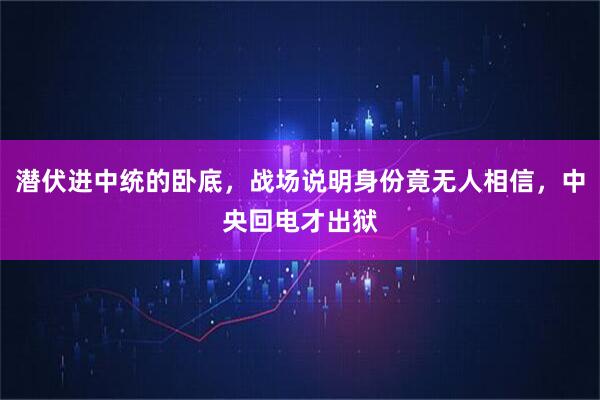 潜伏进中统的卧底，战场说明身份竟无人相信，中央回电才出狱
