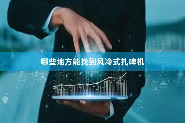 哪些地方能找到风冷式扎啤机
