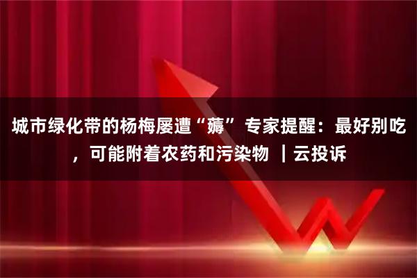 城市绿化带的杨梅屡遭“薅” 专家提醒：最好别吃，可能附着农药和污染物 ｜云投诉